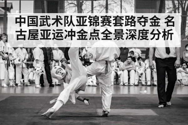 中国武术队亚锦赛套路夺金 名古屋亚运冲金点全景深度分析 | kaiyun